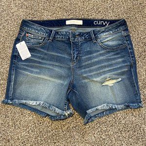 NWT SLINK JEANS frayed denim curvy fit Laura shorts SIZE 16